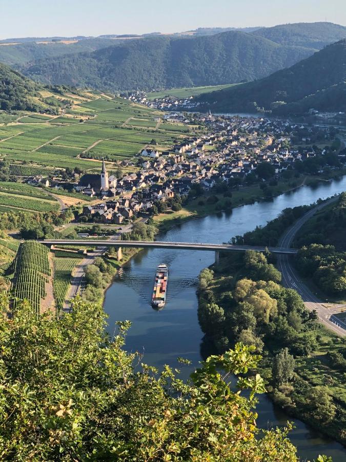 Apartment Mosel-Goetterlay Бруттиг-Фанкель Экстерьер фото